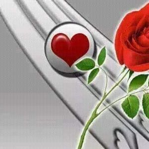 Meet your Posher, Dieunane